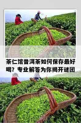 茶仁馆普洱茶如何保存更好喝？专业解答为你揭开谜团