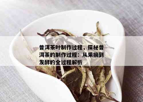 普洱茶叶制作过程，探秘普洱茶的制作过程：从采摘到发酵的全过程解析