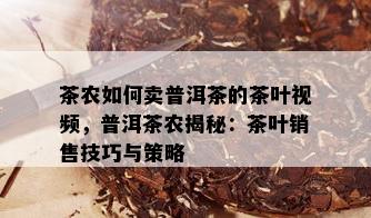 茶农如何卖普洱茶的茶叶视频，普洱茶农揭秘：茶叶销售技巧与策略