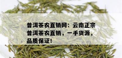 普洱茶农直销网：云南正宗普洱茶农直销，一手货源，品质保证！