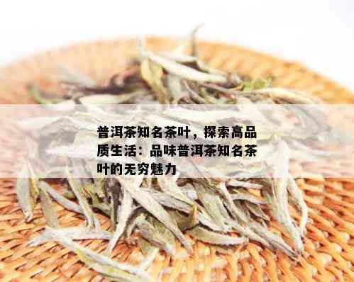 普洱茶知名茶叶，探索高品质生活：品味普洱茶知名茶叶的无穷魅力