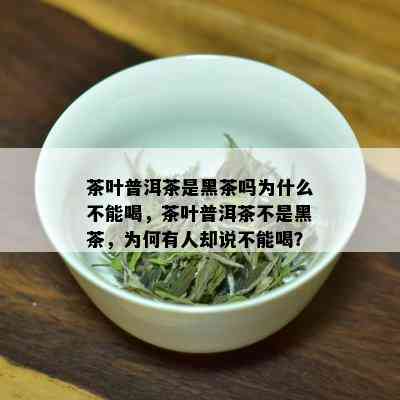 茶叶普洱茶是黑茶吗为什么不能喝，茶叶普洱茶不是黑茶，为何有人却说不能喝？