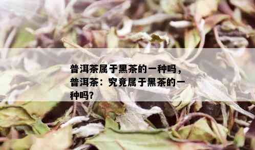 普洱茶属于黑茶的一种吗，普洱茶：究竟属于黑茶的一种吗？