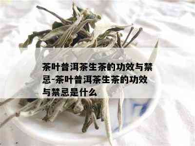 茶叶普洱茶生茶的功效与禁忌-茶叶普洱茶生茶的功效与禁忌是什么