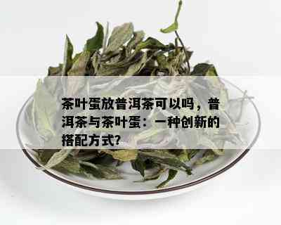 茶叶蛋放普洱茶可以吗，普洱茶与茶叶蛋：一种创新的搭配方式？