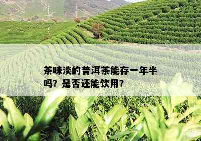 茶味淡的普洱茶能存一年半吗？是否还能饮用？