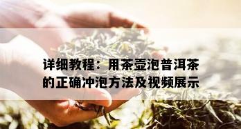 详细教程：用茶壶泡普洱茶的正确冲泡方法及视频展示