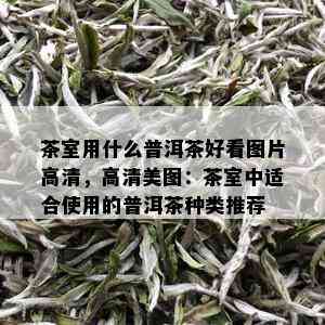 茶室用什么普洱茶好看图片高清，高清美图：茶室中适合使用的普洱茶种类推荐