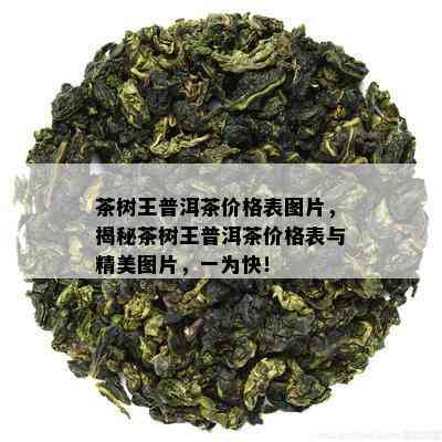 茶树王普洱茶价格表图片，揭秘茶树王普洱茶价格表与精美图片，一为快！