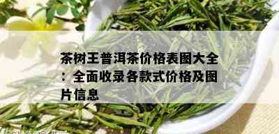 茶树王普洱茶价格表图大全：全面收录各款式价格及图片信息