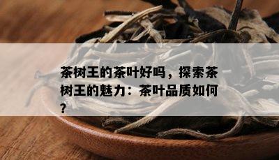 茶树王的茶叶好吗，探索茶树王的魅力：茶叶品质如何？