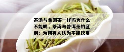 茶汤与普洱茶一样吗为什么不能喝，茶汤与普洱茶的区别：为何有人认为不能饮用？