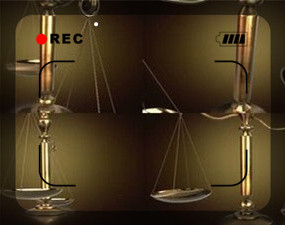 上海燊鸿逾期生物科技、文化传播及光明新零售