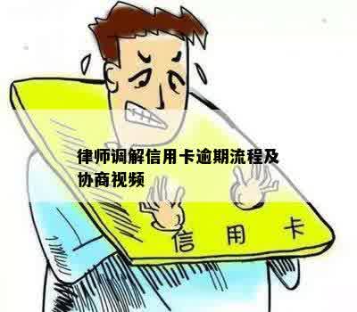 律师调解信用卡逾期流程及协商视频