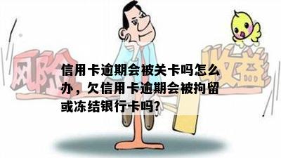 信用卡逾期会被关卡吗怎么办，欠信用卡逾期会被拘留或冻结银行卡吗？