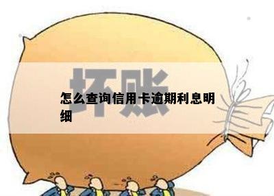 怎么查询信用卡逾期利息明细