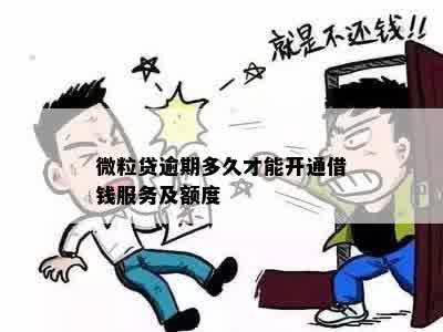 微粒贷逾期多久才能开通借钱服务及额度