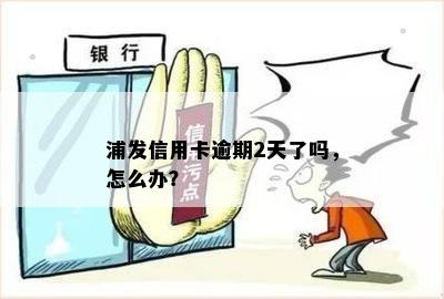 浦发信用卡逾期2天了吗，怎么办？