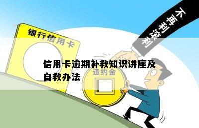 信用卡逾期补救知识讲座及自救办法