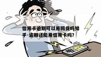 信用卡逾期可以用网贷吗知乎-逾期还能用信用卡吗？