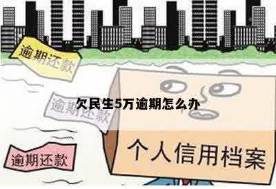 欠民生5万逾期怎么办