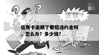 信用卡逾期了要赔违约金吗，怎么办？多少钱？