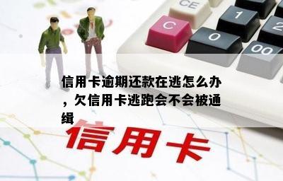 信用卡逾期还款在逃怎么办，欠信用卡逃跑会不会被通缉