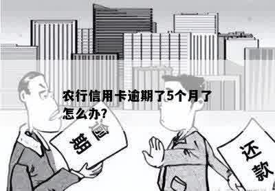 农行信用卡逾期了5个月了怎么办？