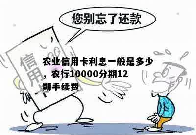 农业信用卡利息一般是多少，农行10000分期12期手续费