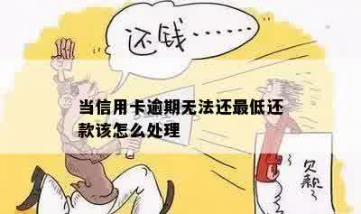 当信用卡逾期无法还更低还款该怎么处理