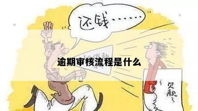 逾期审核流程是什么