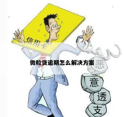 微粒贷逾期怎么解决方案