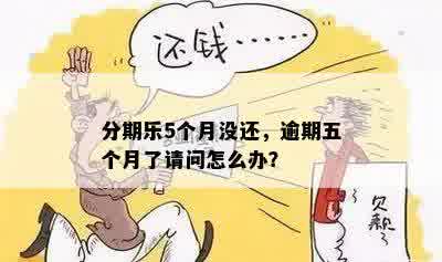 分期乐5个月没还，逾期五个月了请问怎么办？