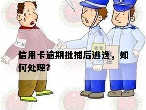 信用卡逾期批捕后逃逸，如何处理？