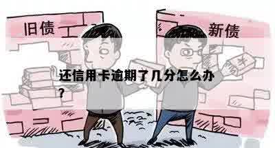 还信用卡逾期了几分怎么办？