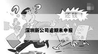 深圳新公司逾期未申报