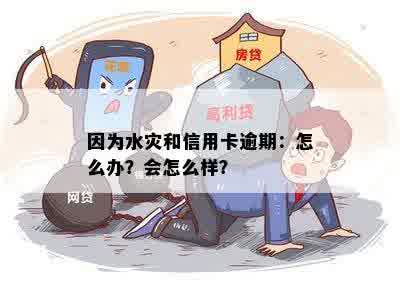 因为水灾和信用卡逾期：怎么办？会怎么样？