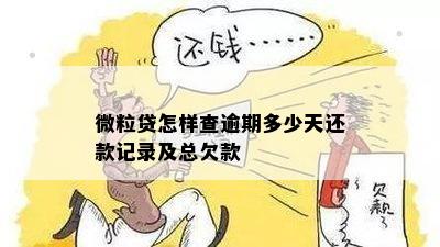 微粒贷怎样查逾期多少天还款记录及总欠款