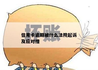 信用卡逾期被什么法院起诉及应对措