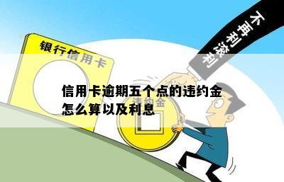 信用卡逾期五个点的违约金怎么算以及利息