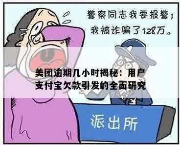 美团逾期几小时揭秘：用户支付宝欠款引发的全面研究