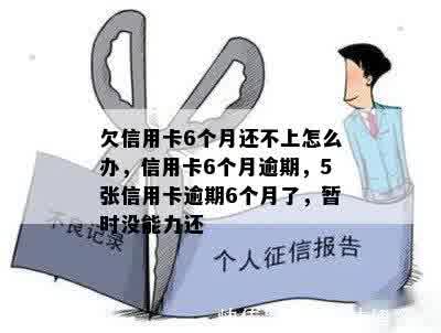 欠信用卡6个月还不上怎么办，信用卡6个月逾期，5张信用卡逾期6个月了，暂时没能力还