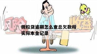 微粒贷逾期怎么查总欠款和实际本金记录