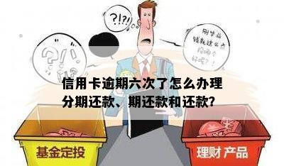 信用卡逾期六次了怎么办理分期还款、期还款和还款？