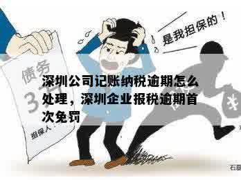 深圳公司记账纳税逾期怎么处理，深圳企业报税逾期首次免罚