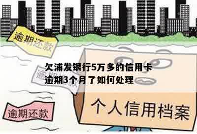 欠浦发银行5万多的信用卡逾期3个月了如何处理