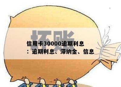 信用卡30000逾期利息：逾期利息、滞纳金、信息