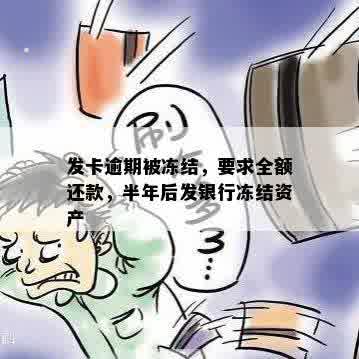 发卡逾期被冻结，要求全额还款，半年后发银行冻结资产