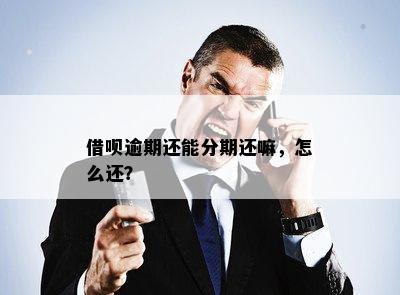 借呗逾期还能分期还嘛，怎么还？