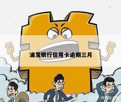 浦发银行信用卡逾期三月